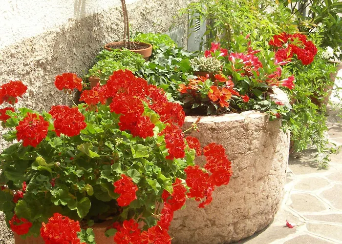 Albergo CentraleAlbergo